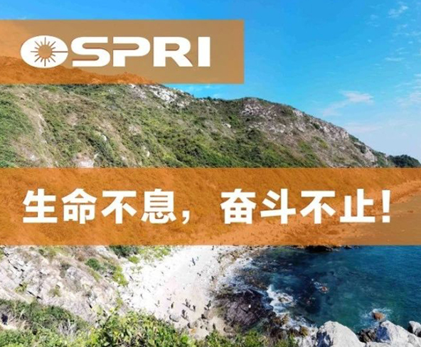 越過(guò)山丘 ，才發(fā)現(xiàn)最美深圳在等候